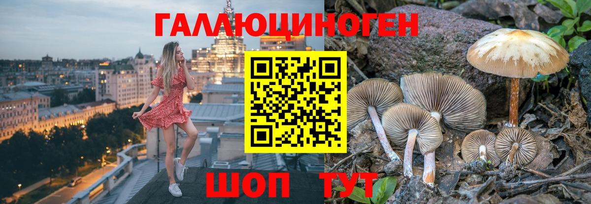 Галлюциногенные грибы Psilocybe  Галлюциногенные грибы Cubensis  Мытищи  Вход с VPN 